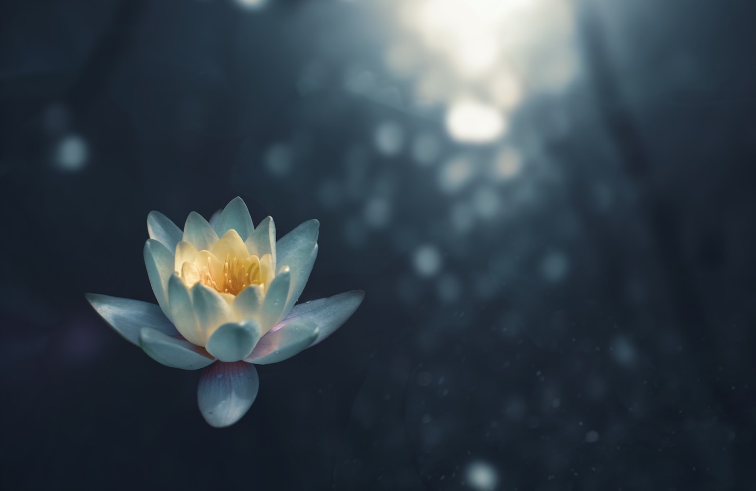 Histórias de Transformação e Despertar Espiritual